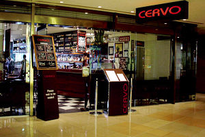 Cervo - Restaurants Sydney