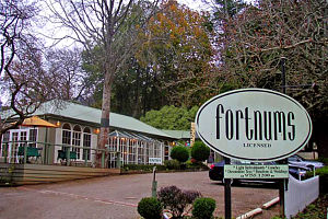 Fortnums Restaurant - Accommodation Georgetown 0
