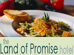 Land Of Promise Hotel - Melbourne Tourism 0