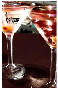 Calypso Bar And Lounge - C Tourism 1