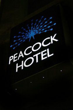 Peacock Inn Hotel - Pubs Sydney