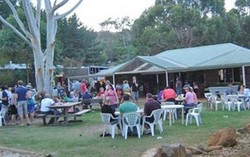 Bush Shack Brewery - Pubs and Clubs
