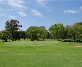 Singleton Golf Club - Nambucca Heads Accommodation 1