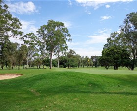 Singleton Golf Club - Tourism Canberra