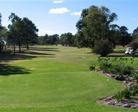 Branxton Golf Club - Townsville Tourism