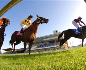 Wyong Race Club - Accommodation Bookings