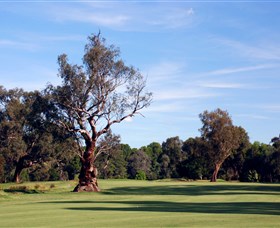 Corowa Golf Club - Accommodation Brunswick Heads 5