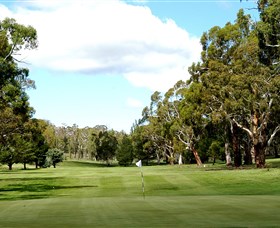 Cooma Golf Club - Accommodation NT