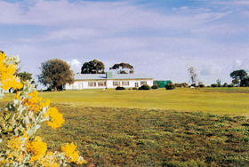 Lucindale Country Club