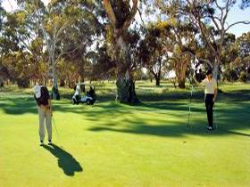 Tanunda Pines Golf Club - thumb 1
