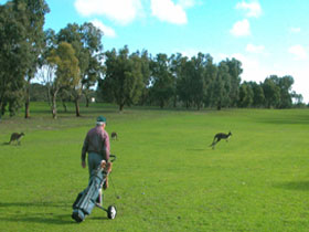 Coffin Bay Golf Club - Tourism Canberra