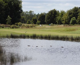 Llanherne Golf Club - Tourism Bookings WA