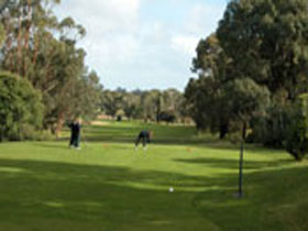 Mount Gambier Golf Club - Kingaroy Accommodation