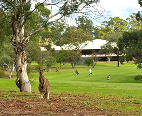 Pambula Merimbula Golf Club - Accommodation NT
