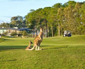Sanctuary Cove Golf and Country Club - Accommodation Nelson Bay