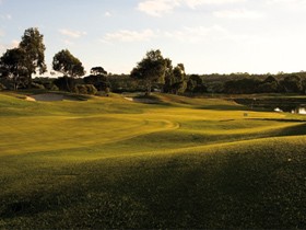 McCracken Country Club Golf Course - Grafton Accommodation