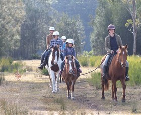 Horse Riding at Oaks Ranch and Country Club - Grafton Accommodation