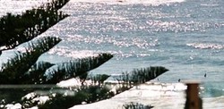 Bondi Social - Surfers Gold Coast