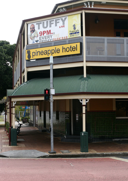 Pineapple Hotel - thumb 1