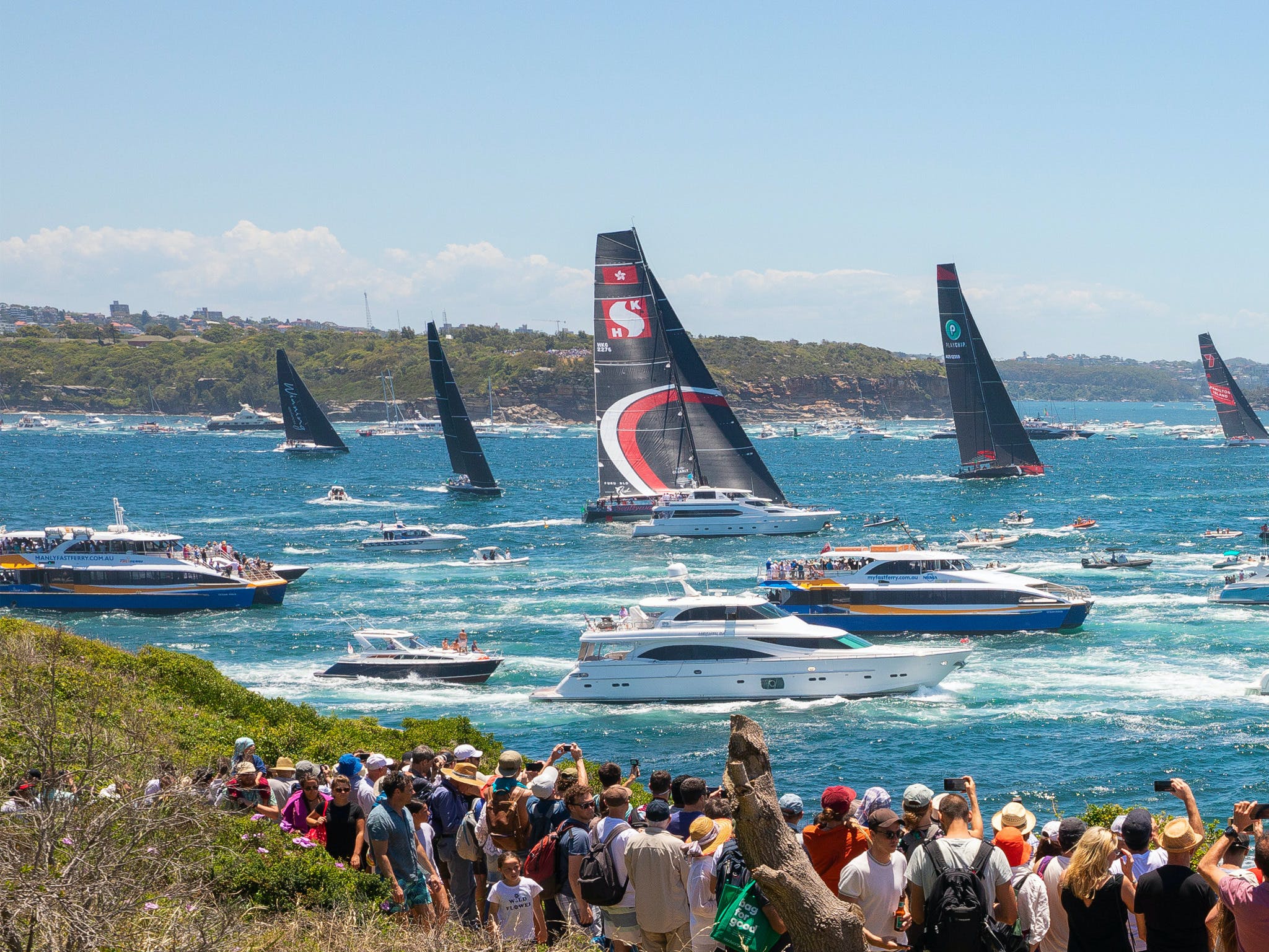Boxing Day Cruise - Sydney to Hobart Yacht Race - New South Wales Tourism 