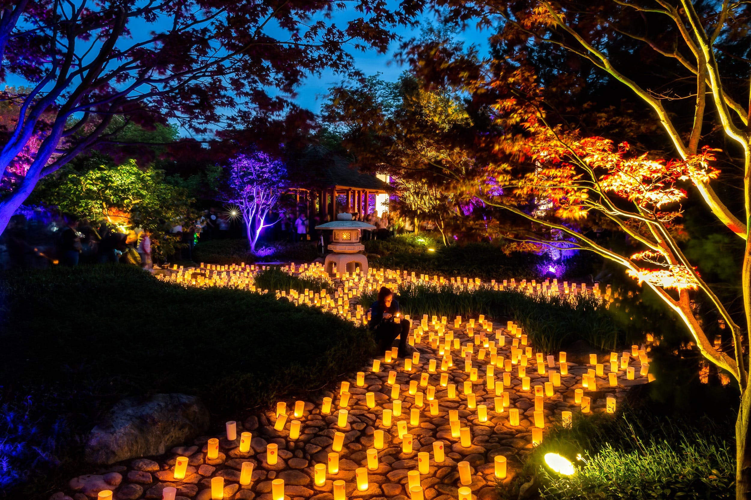 Canberra Nara Candle Festival - Accommodation Directory