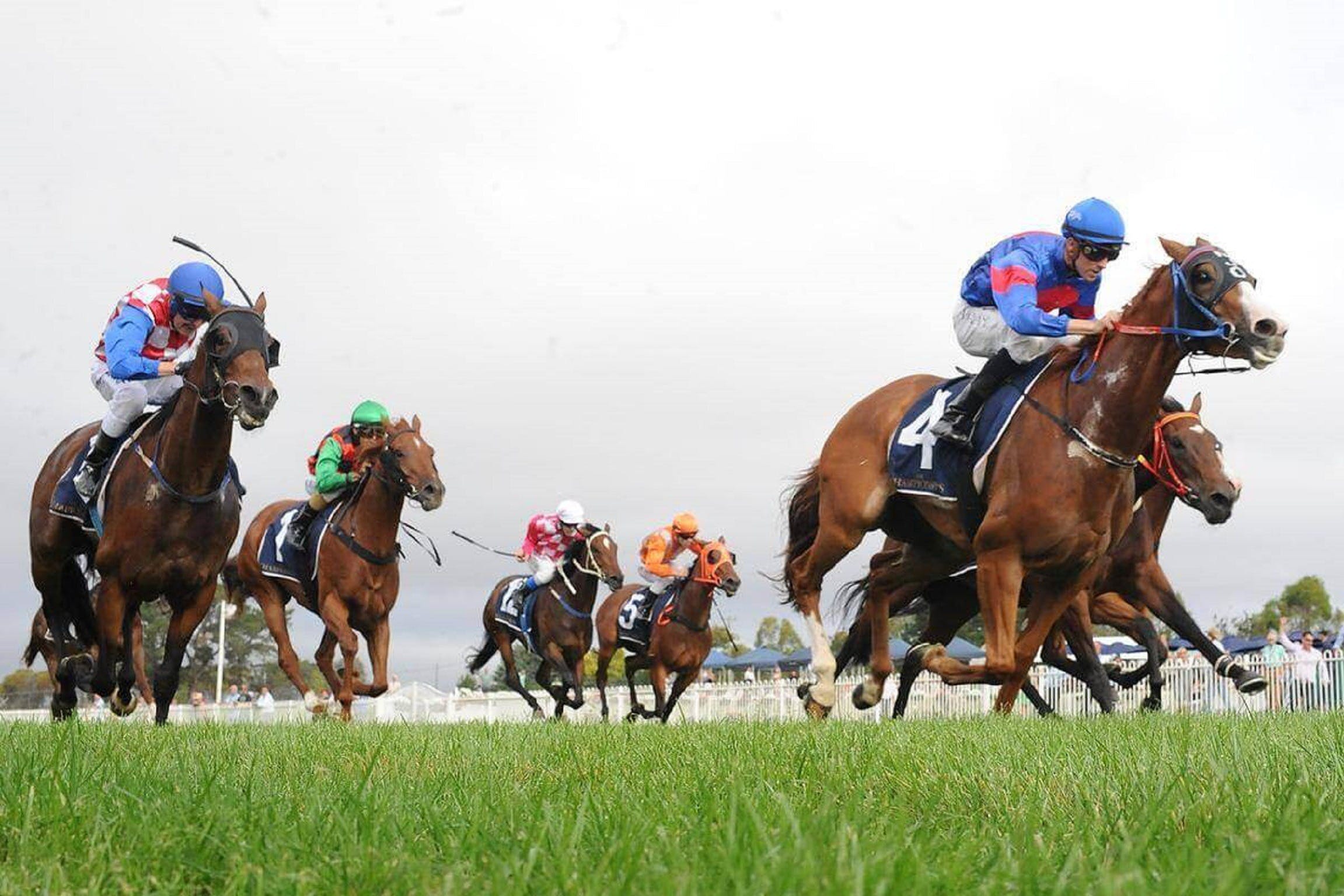 Christmas Cup Race Day - C Tourism
