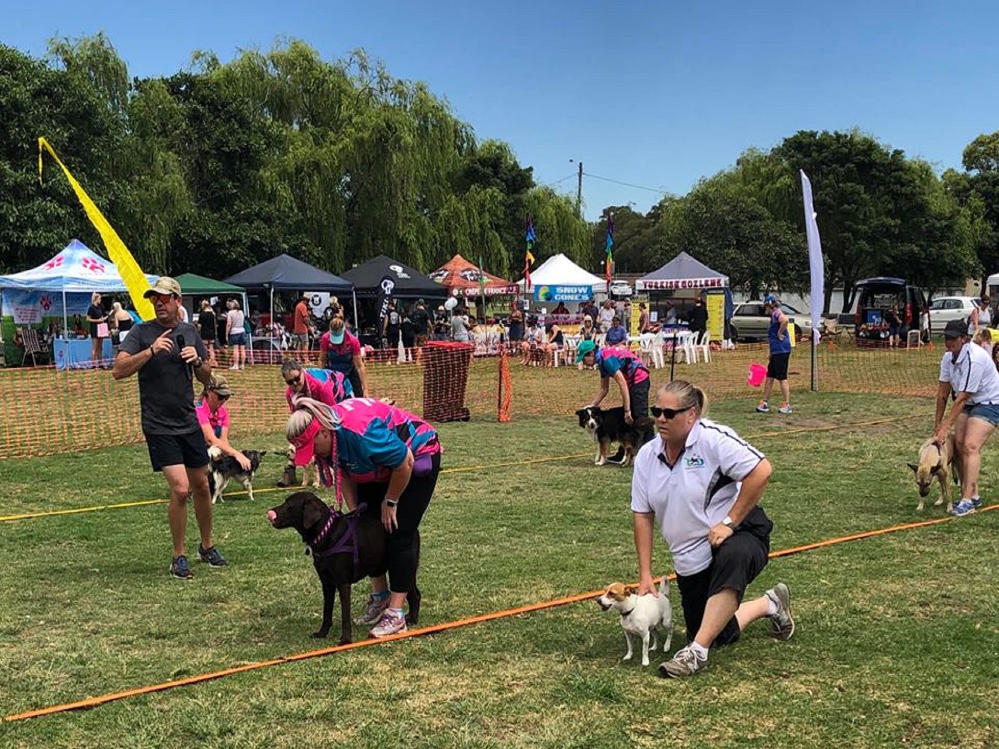 Dogs in the Park Orange - Tourism Bookings WA