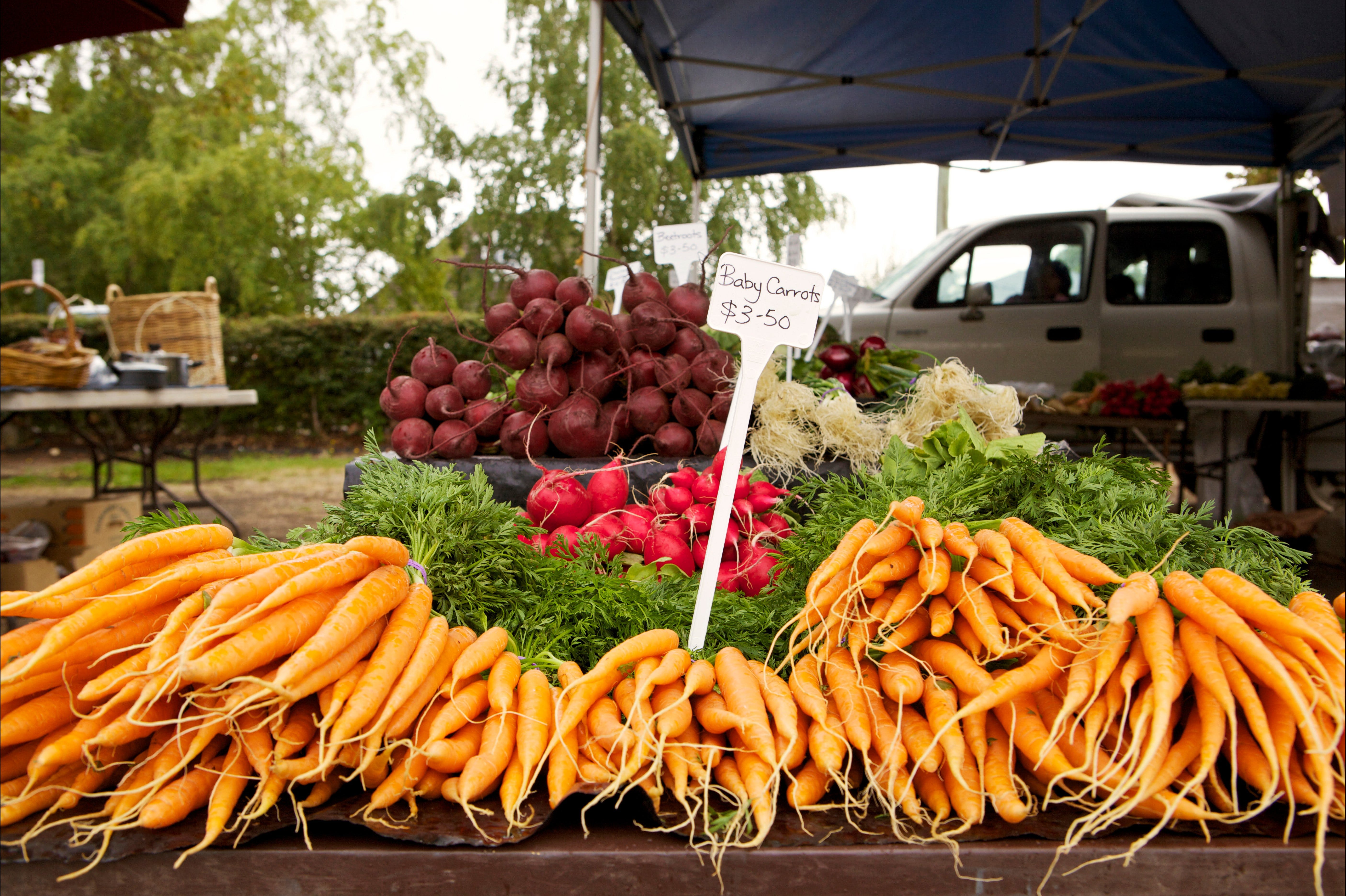 Evandale Market - Weekly - QLD Tourism