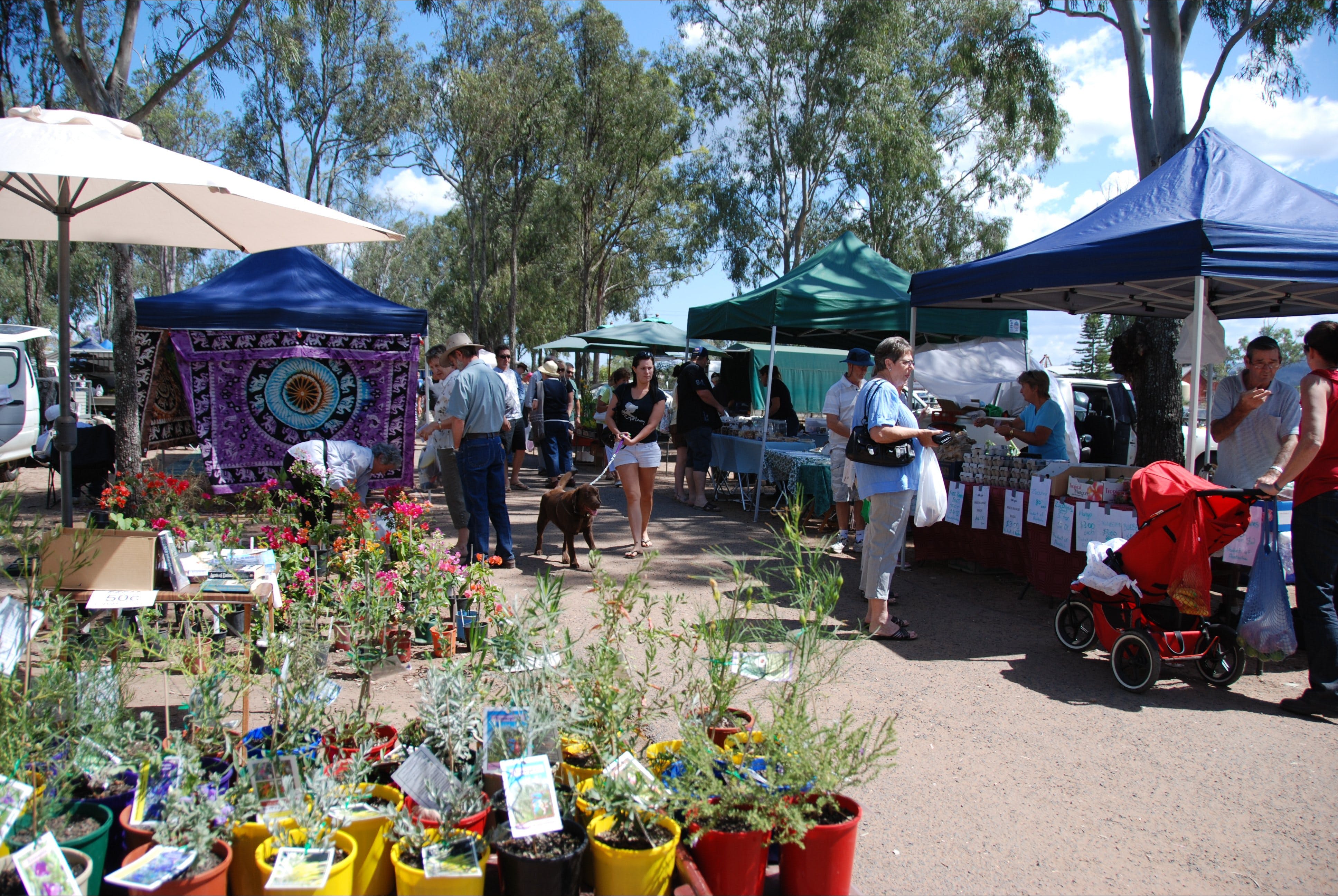 Fernvale Country Markets - Accommodation Directory