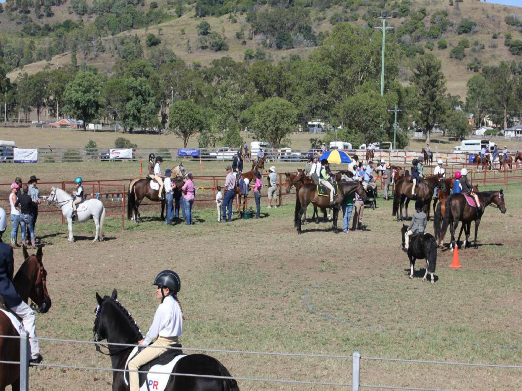 Gresford Agricultural Show - QLD Tourism