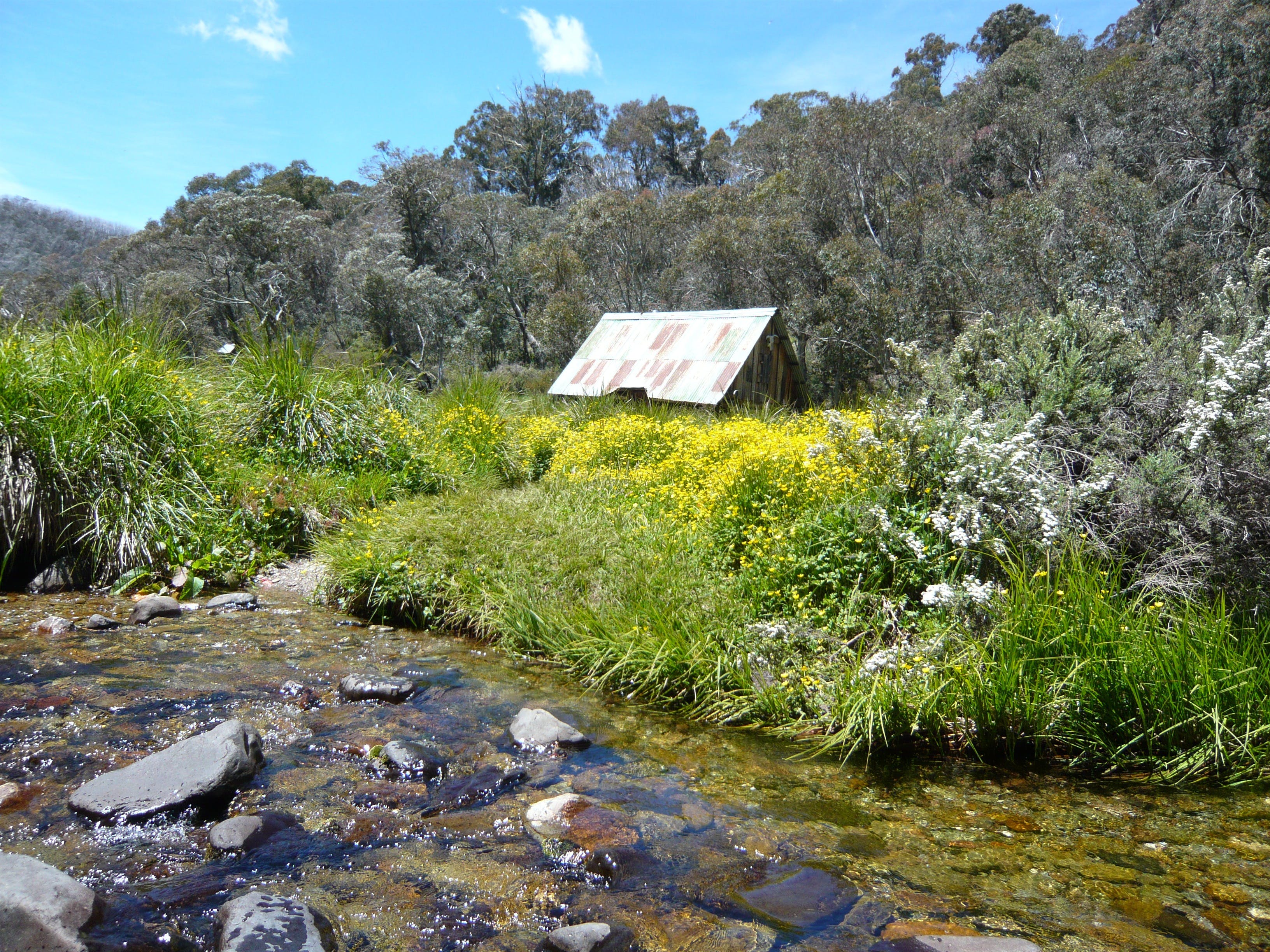 Hedonistic Hiking's Falls Creek to Hotham - Restaurants Sydney