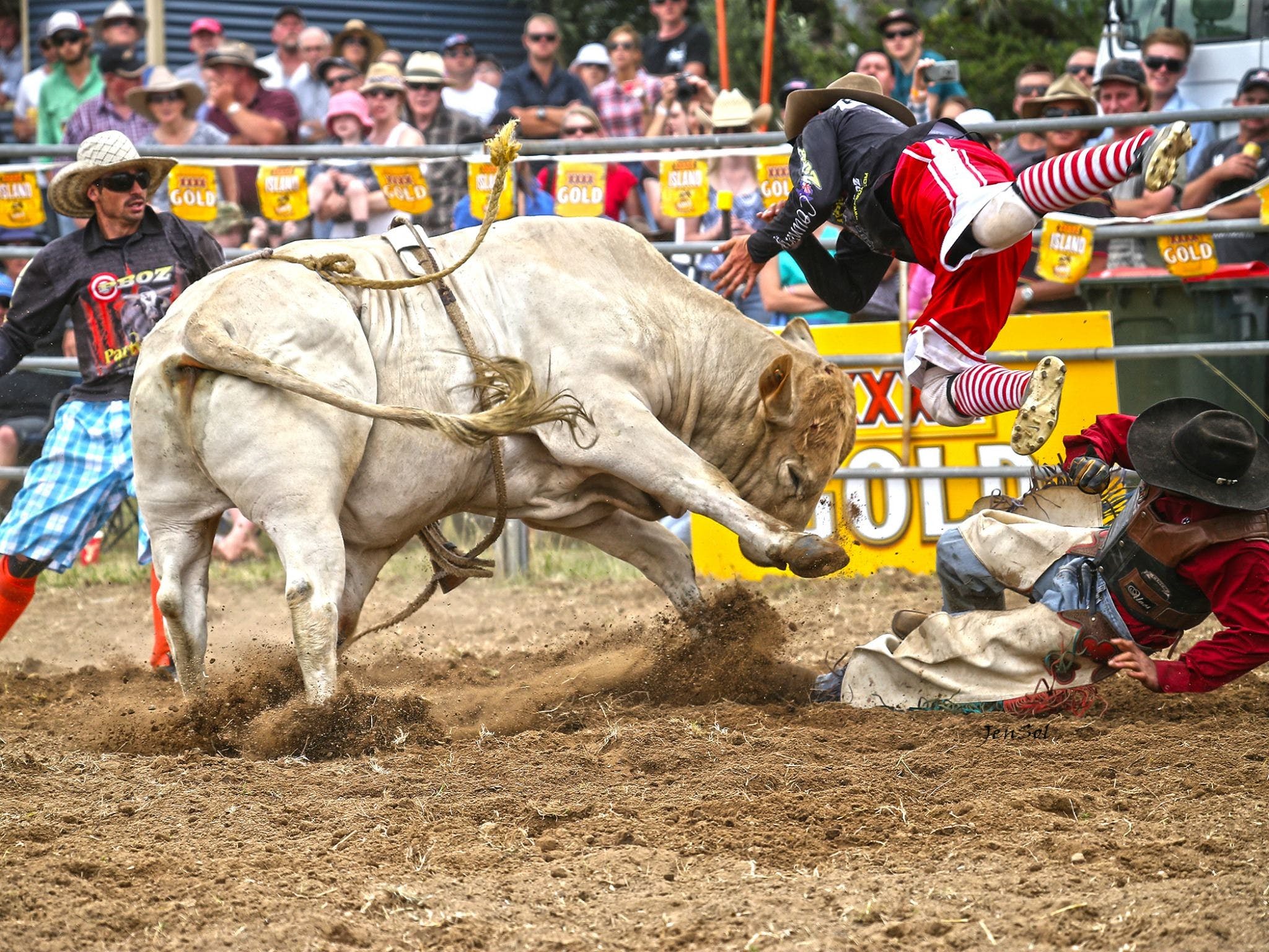 Jindabyne's Man From Snowy River Rodeo - Melbourne Tourism