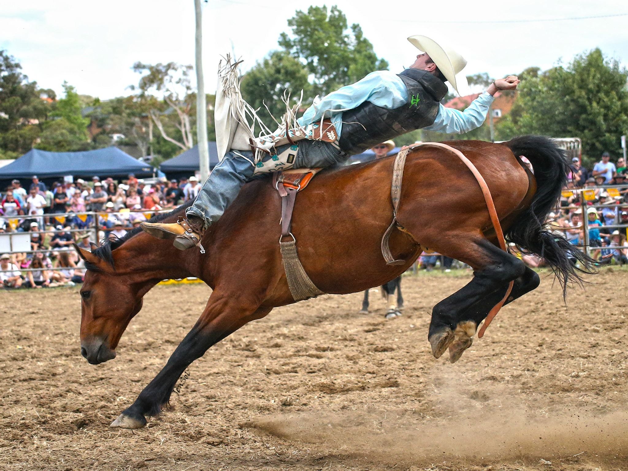 Jindabyne's Man From Snowy River Rodeo - thumb 1