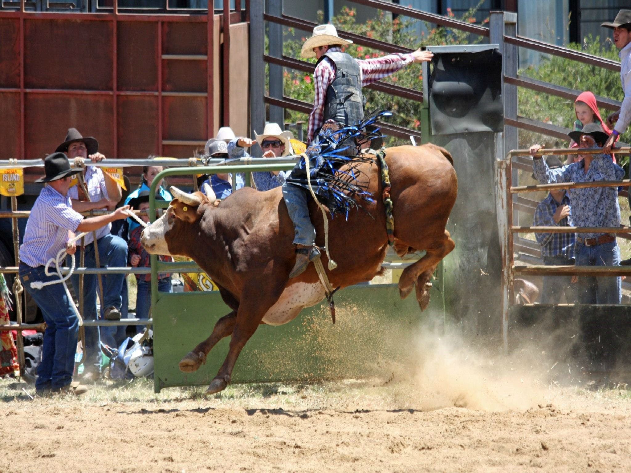 Jindabyne's Man From Snowy River Rodeo - thumb 2