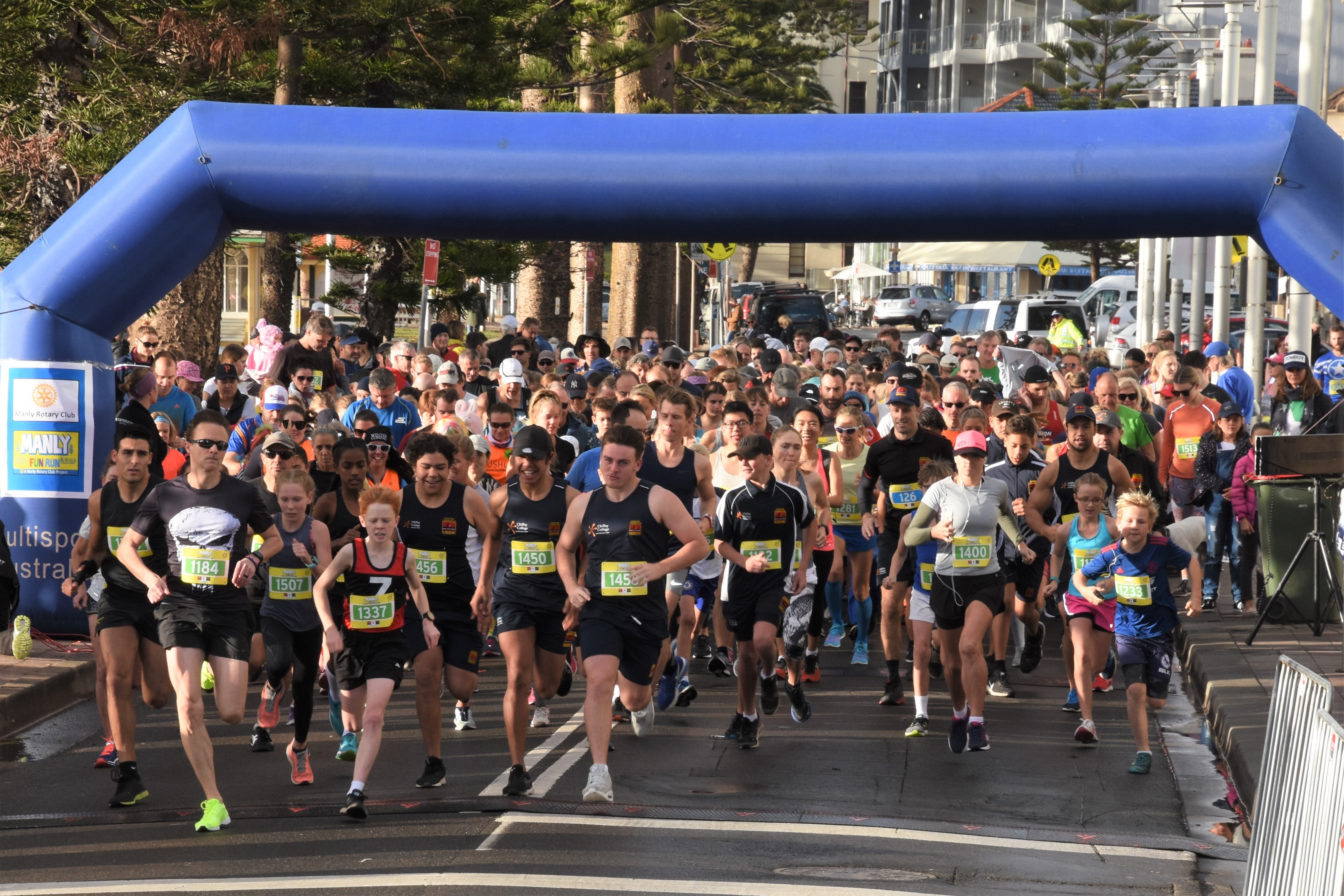 Manly Fun Run and Walk - Accommodation Airlie Beach