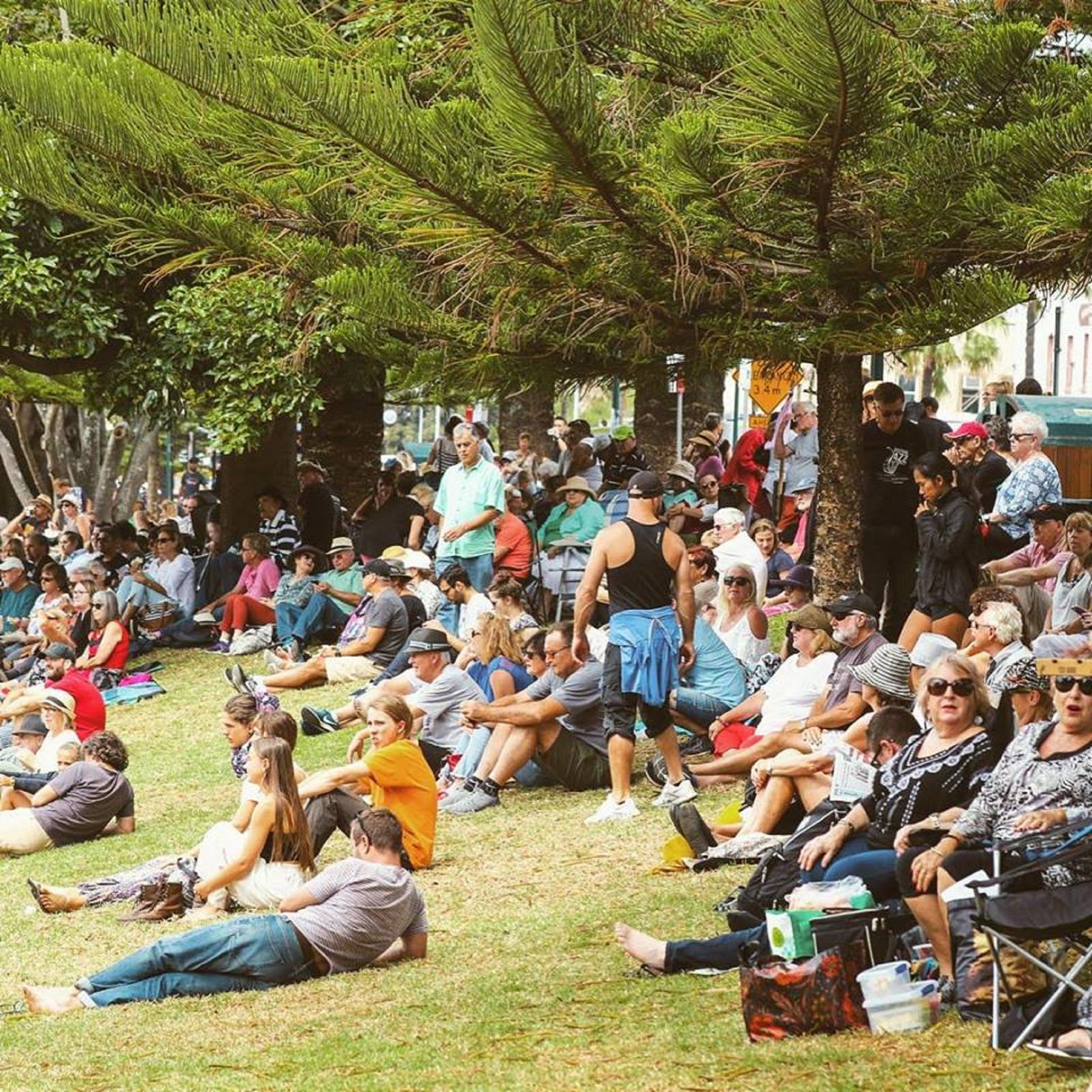 Music in the Park - Lennox Head Accommodation