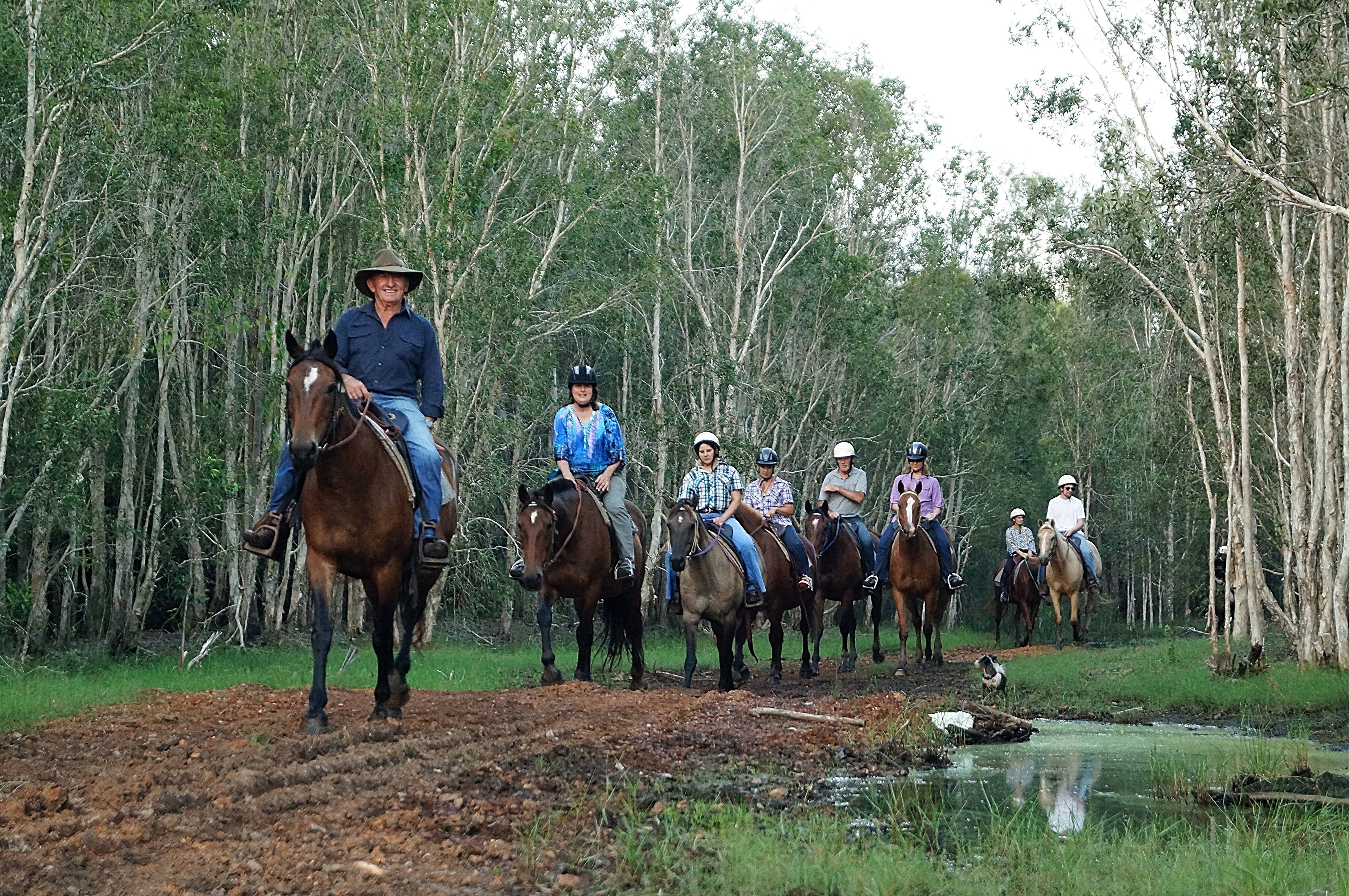 Night Horse Ride and Dinner - Brisbane Tourism