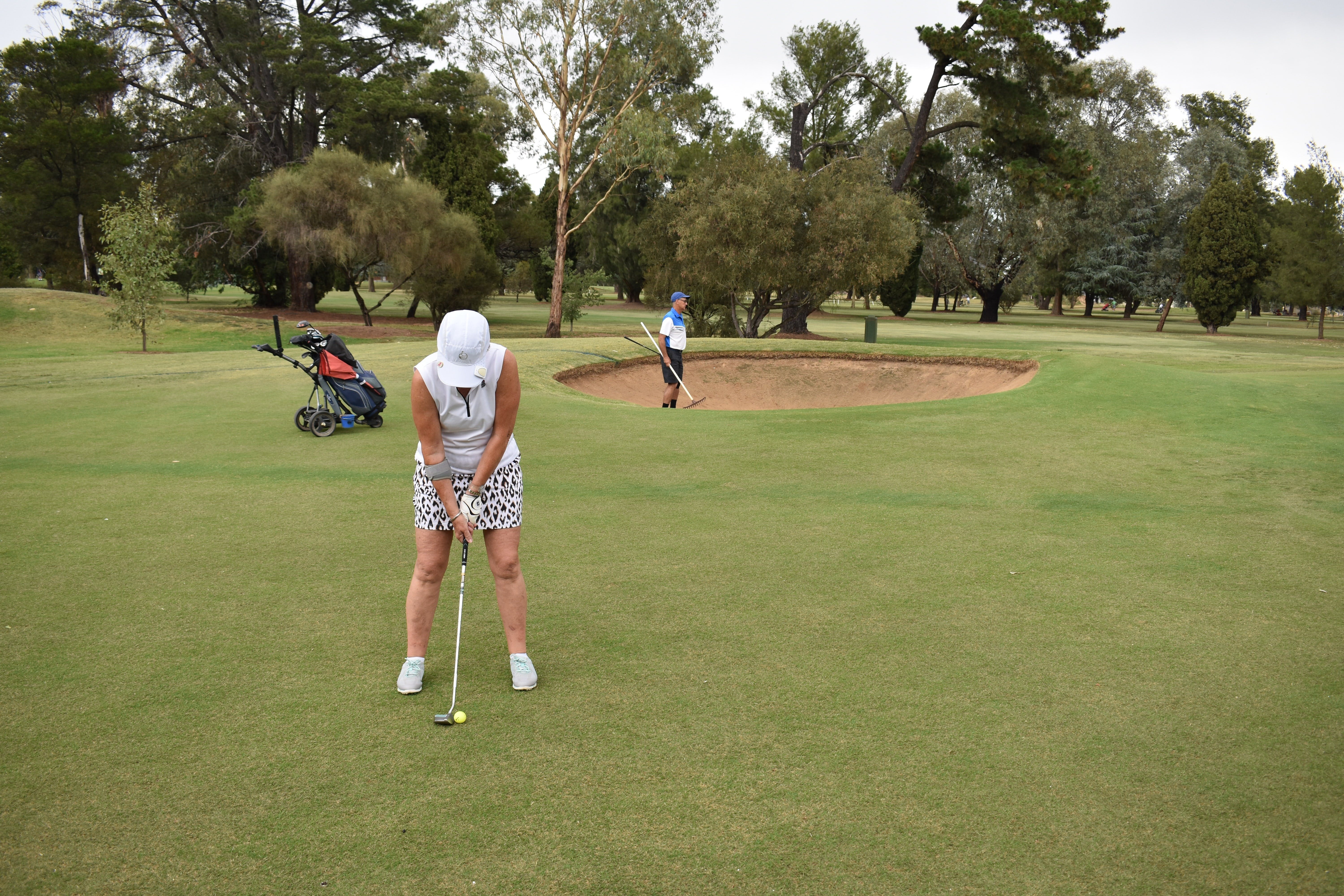 Nine and Dine Golf and Buffet Dinner with Seafood - Accommodation Gold Coast