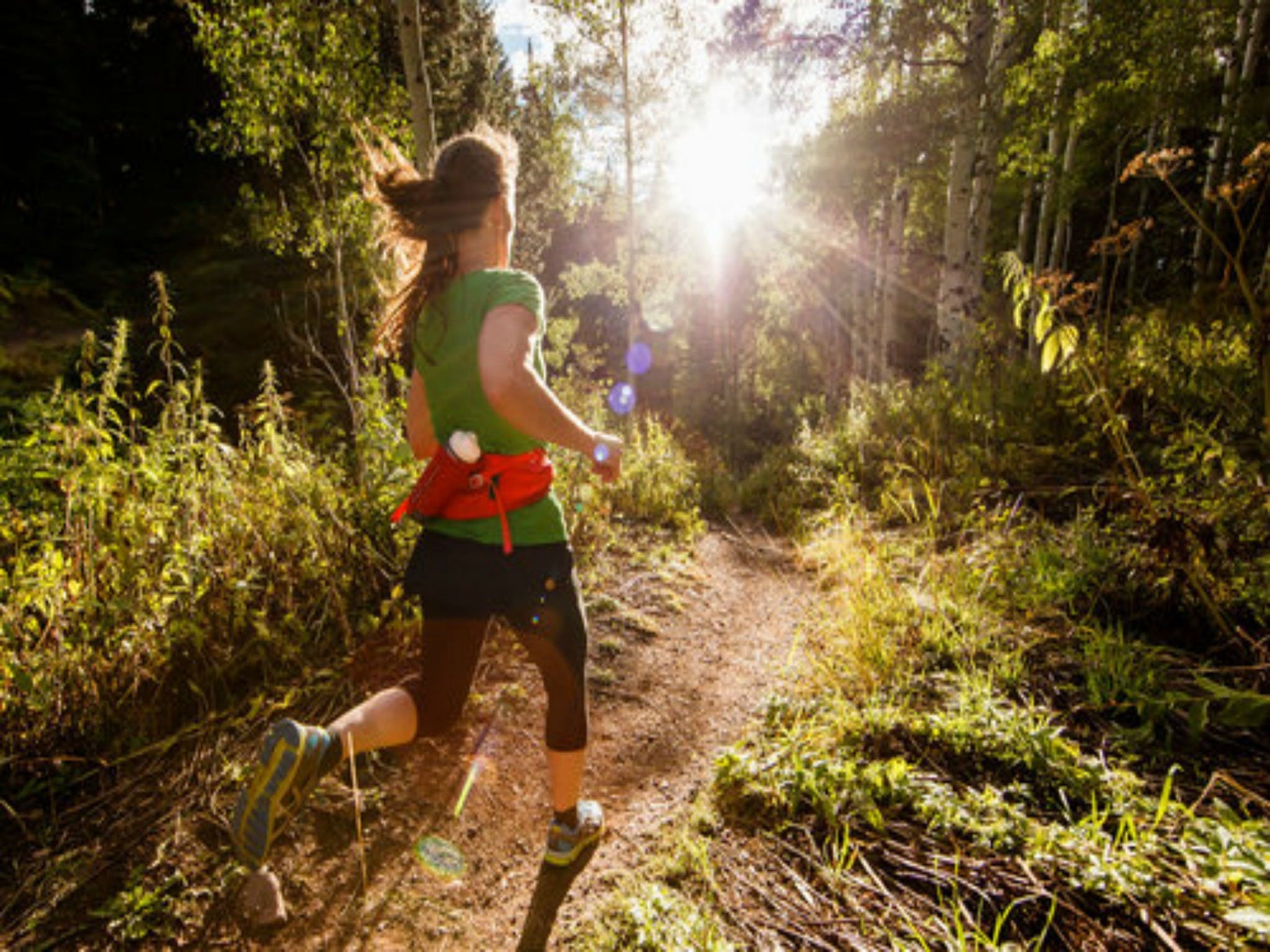 Run Dungog - Accommodation Redcliffe