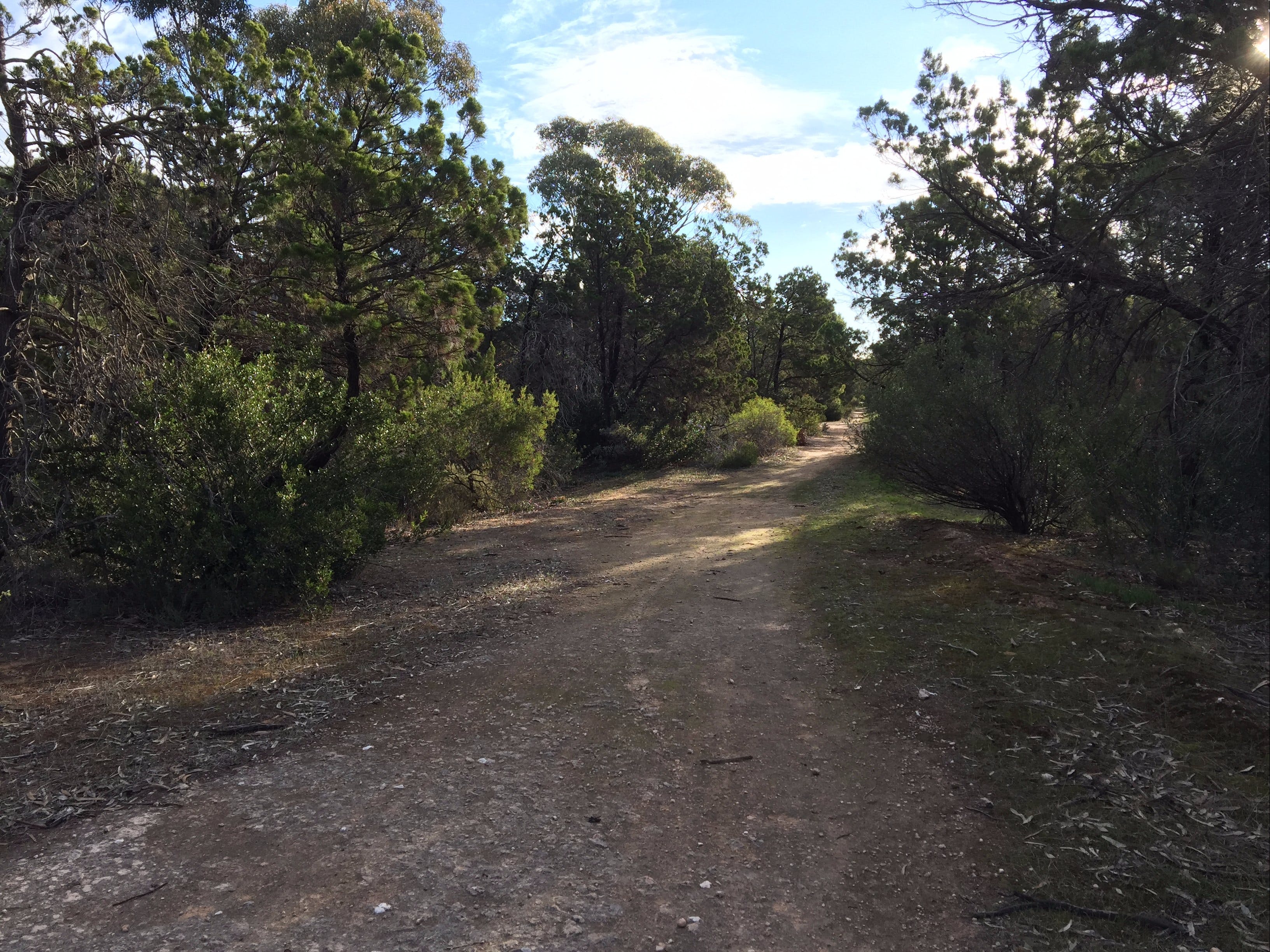 Victoria Park Moonta monthly walks - Accommodation Adelaide