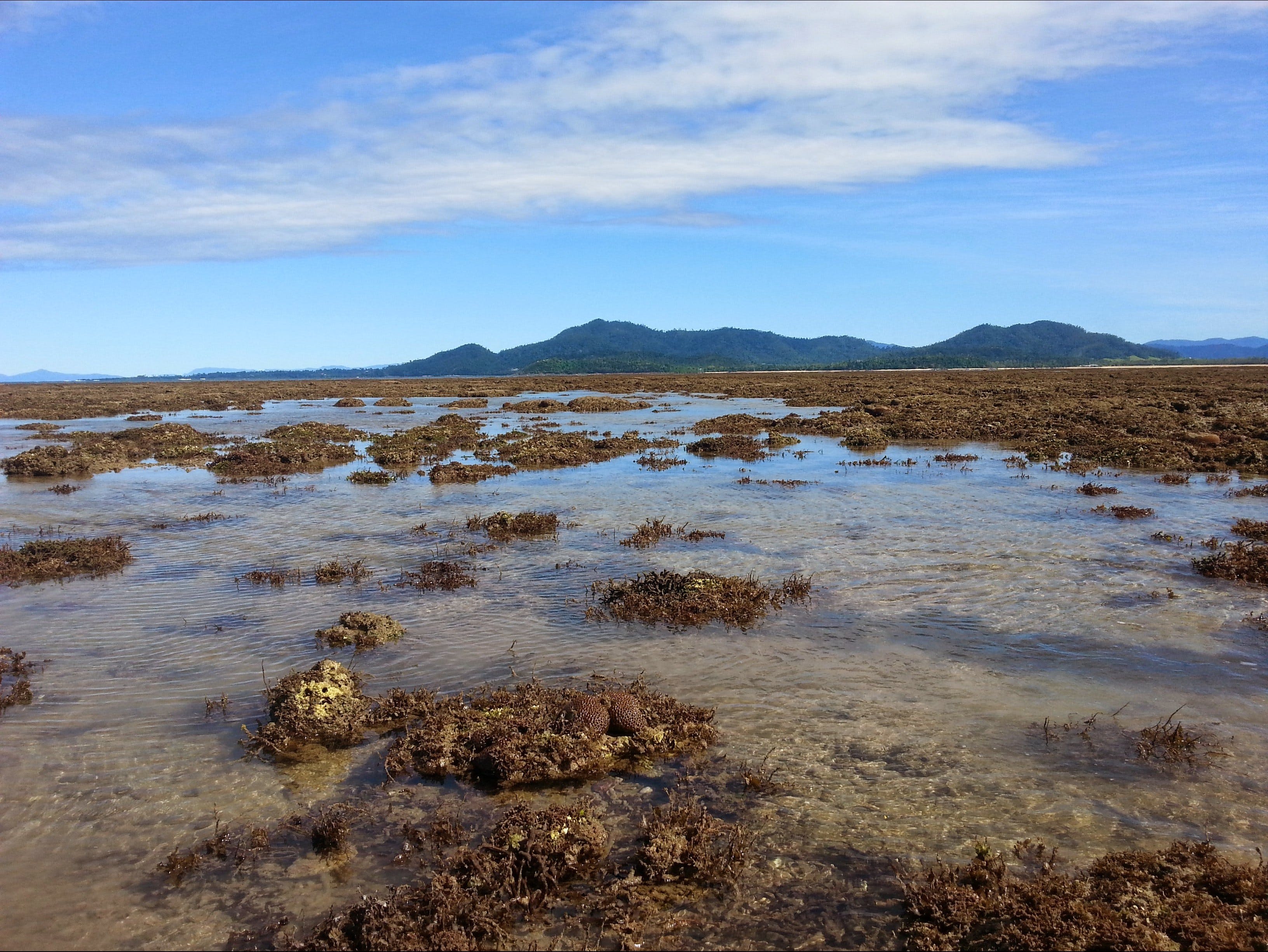 Walk to the Reef - Accommodation Cooktown