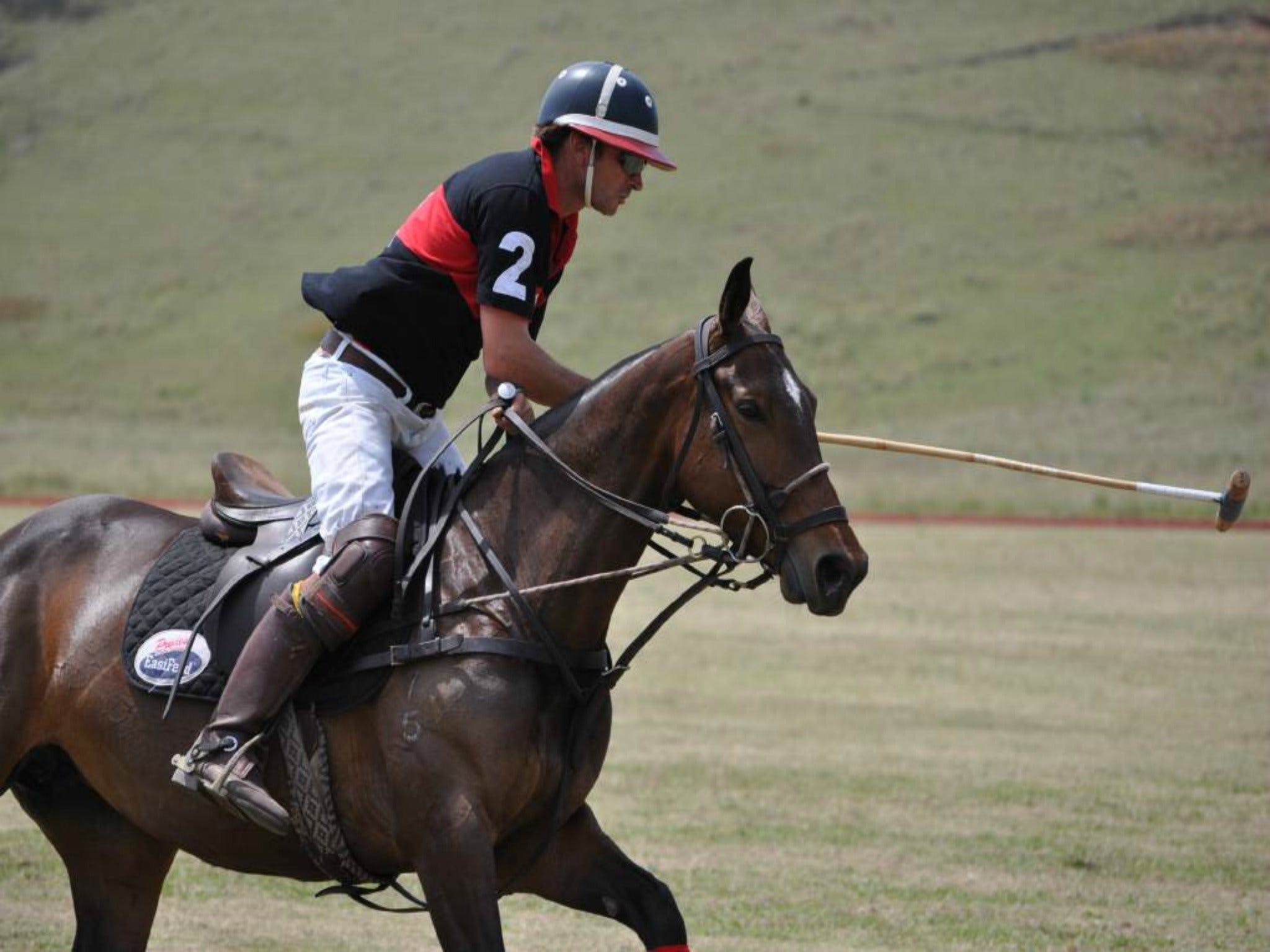 Wirragulla Annual Polo Tournament - Great Ocean Road Tourism