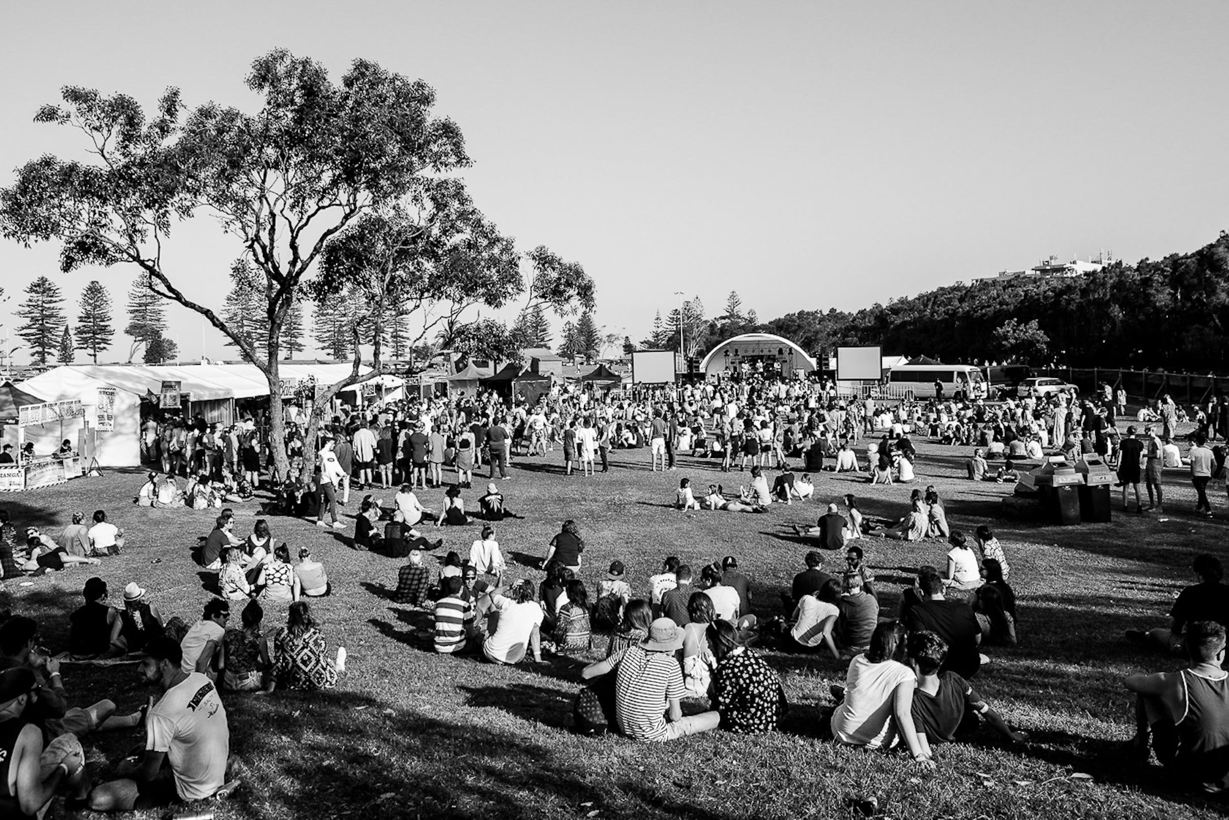 Yours and Owls Festival - Tourism Canberra