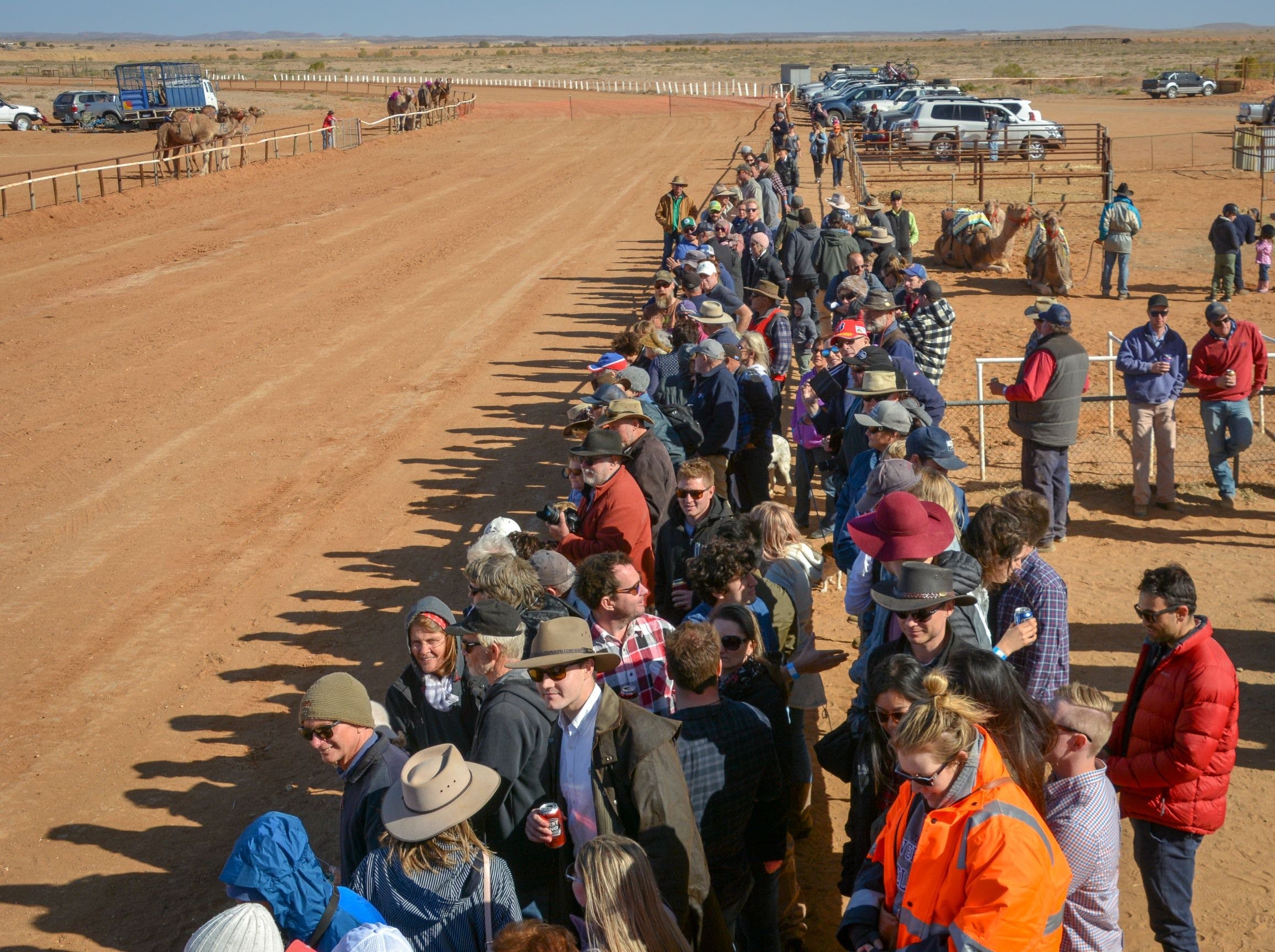 28th Marree Australasian CAMEL CUP 3 July 2021 - Accommodation Adelaide
