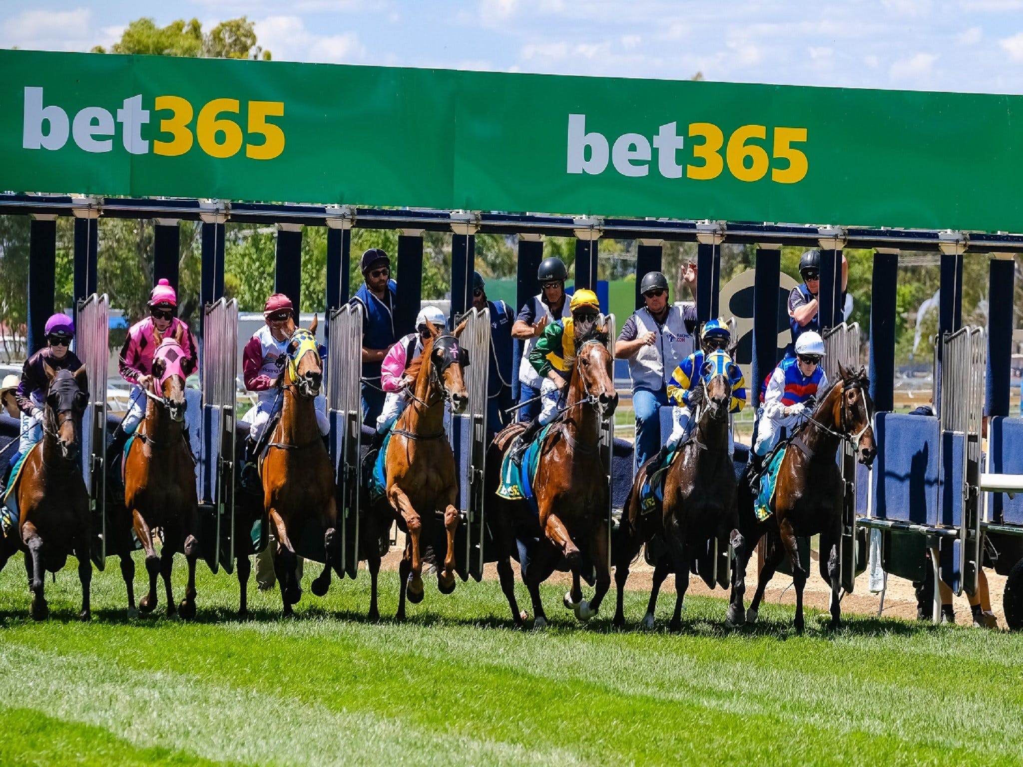 Bet 365 Caulfield Cup Day At Wodonga Race Course - thumb 1