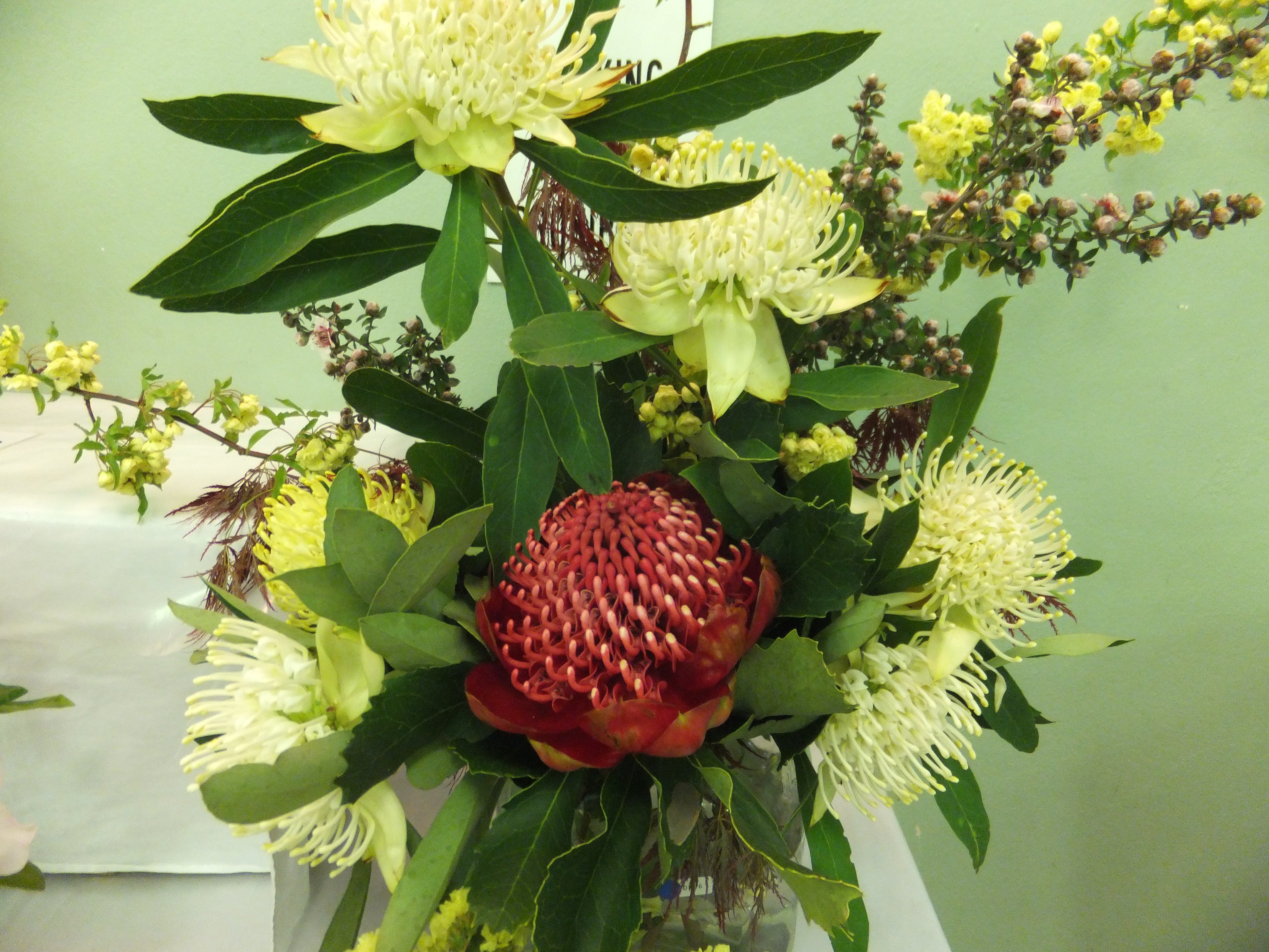 Blackheath Flower and Craft Show - Restaurants Sydney