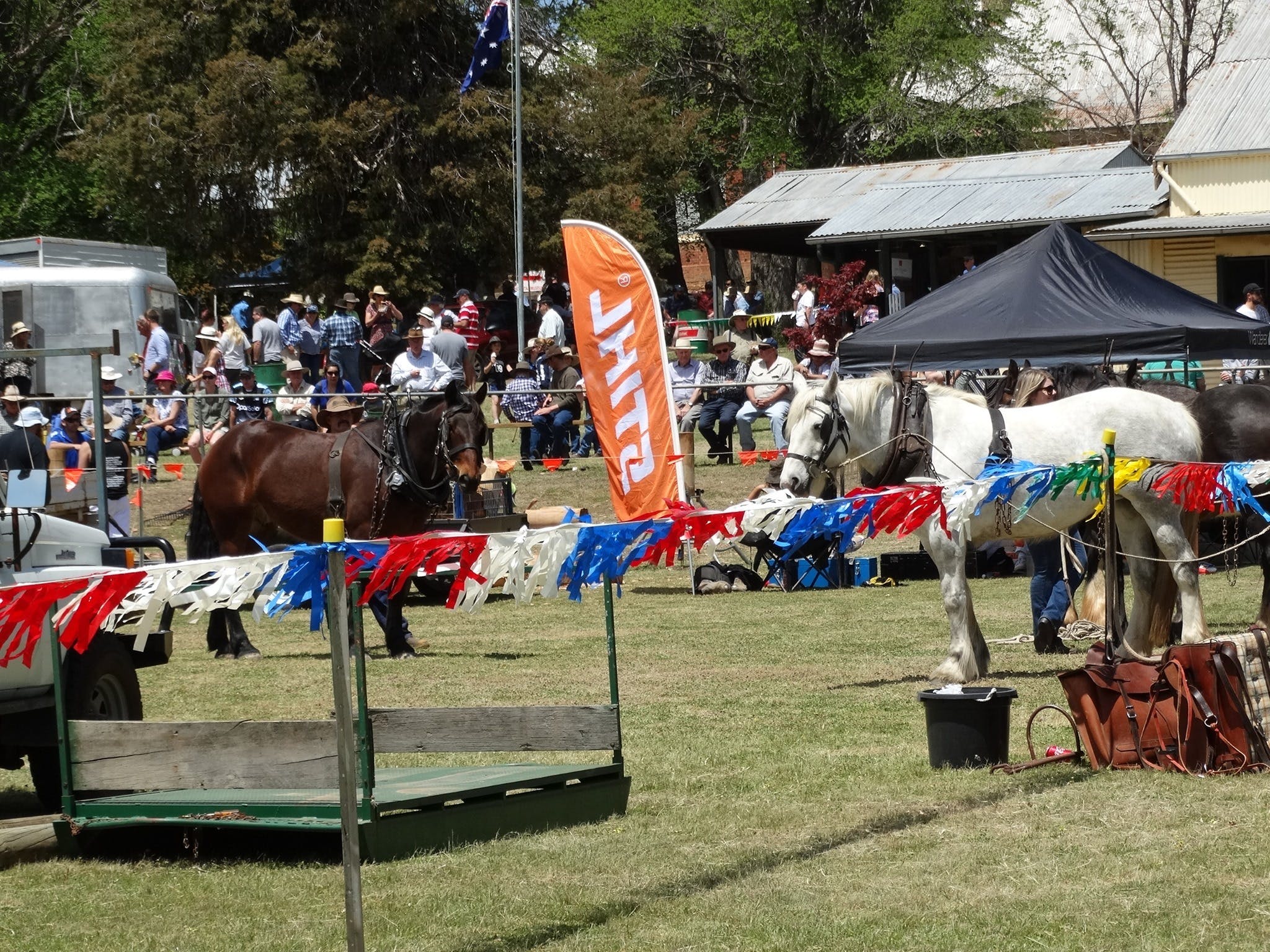 Carcoar Show - Accommodation Bookings