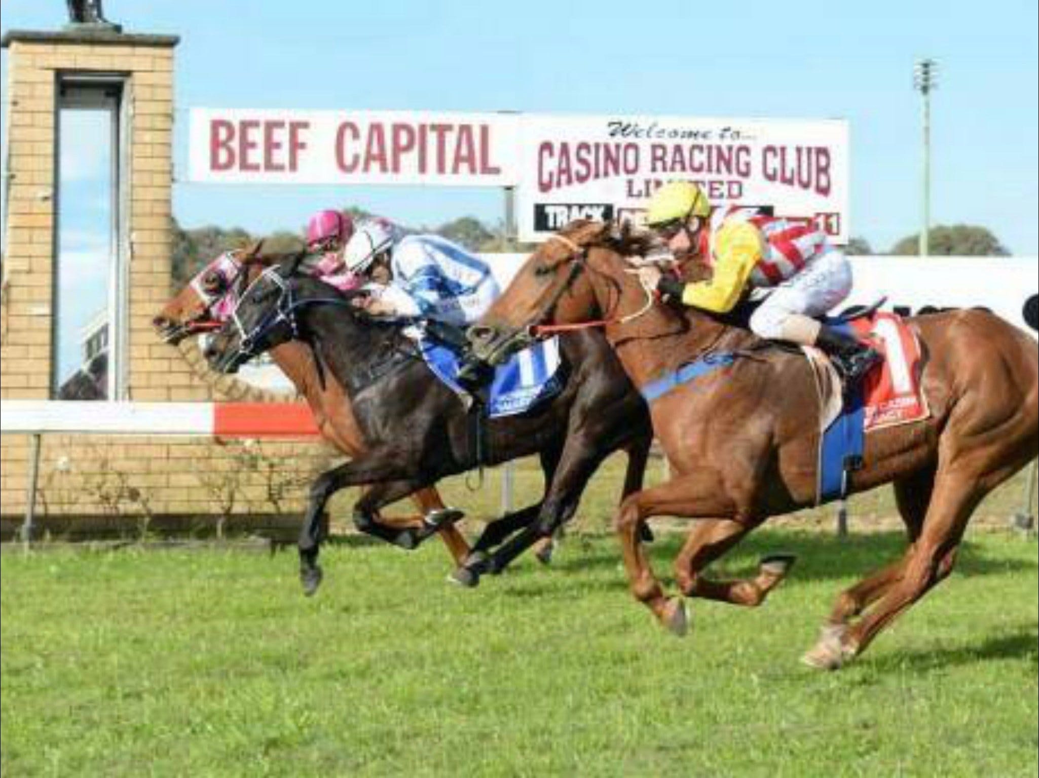 Casino Cup - Accommodation Bookings