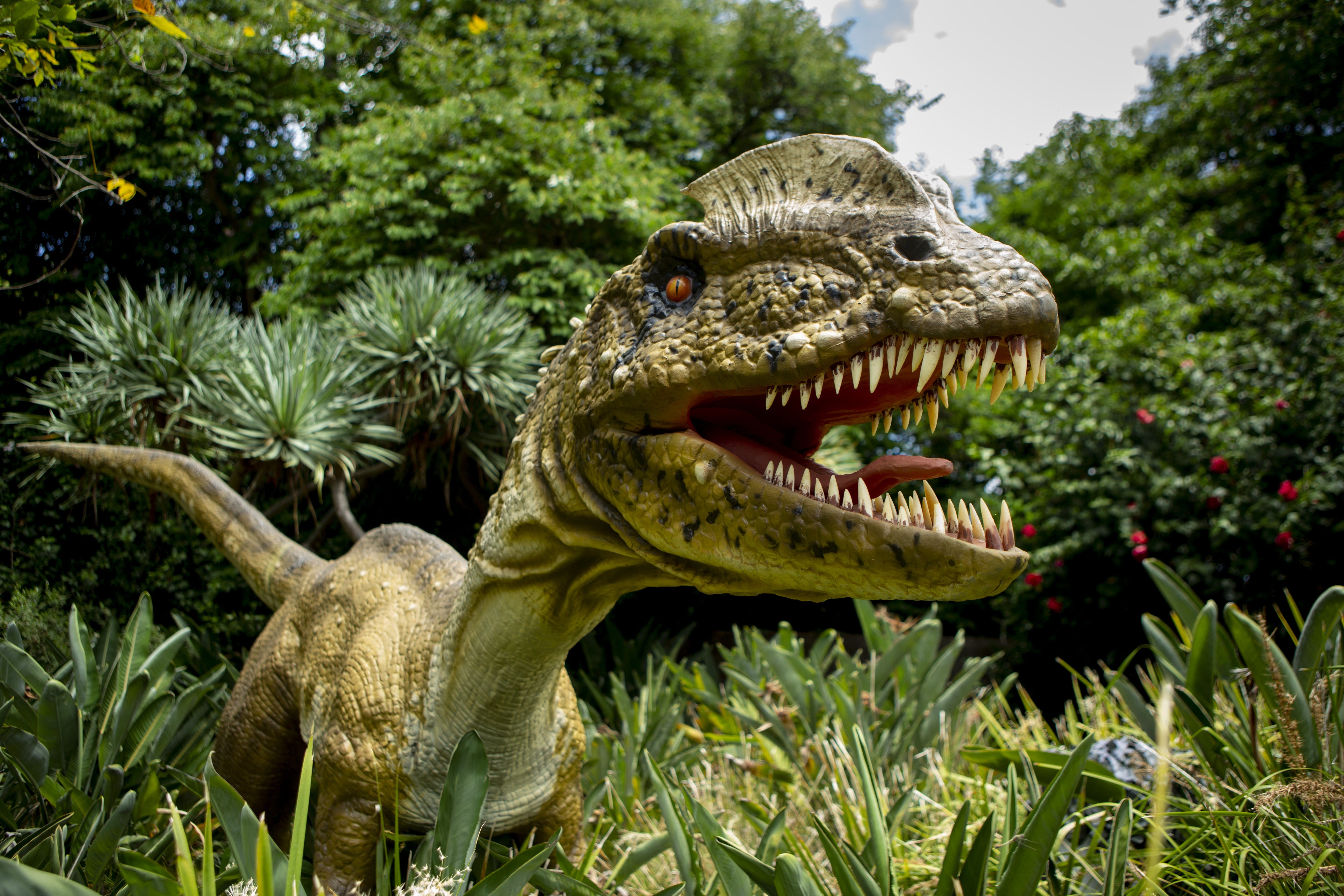 Dino Lab at Melbourne Zoo - Kingaroy Accommodation