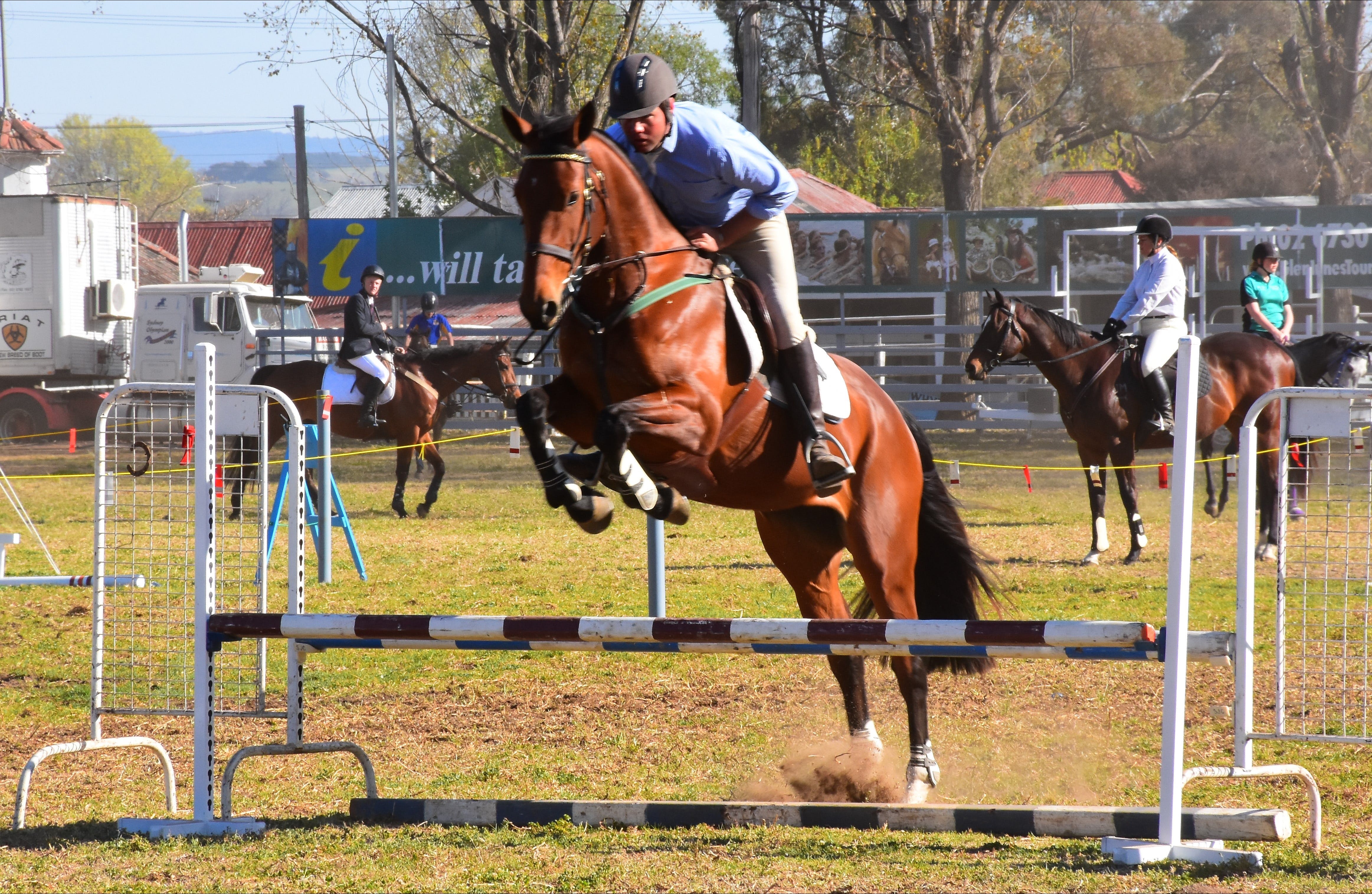 Glen Innes Pastoral and Agricultural Show - Casino Accommodation
